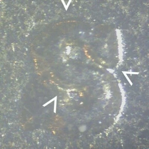 1940-S Lincoln Wheat Cent - S/S RPM Gem TK7 - Picture 1 of 6