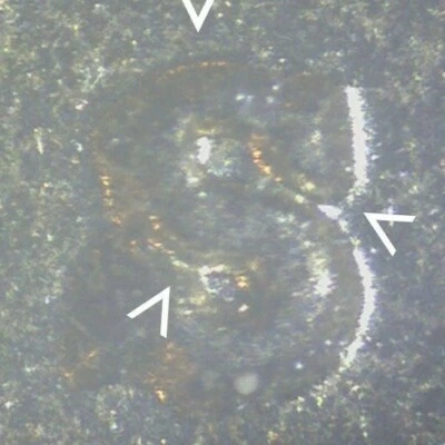 1940-S Lincoln Wheat Cent - S/S RPM  Gem   TK7 - Image 1 of 4