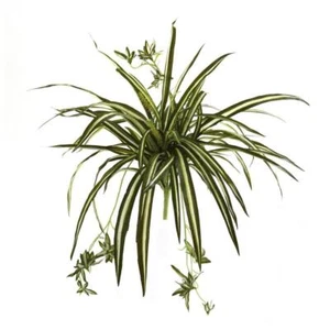 Nearly Natural Artificial Tropical Plant 29" Indoor Spider Green (Set of 4) - Picture 1 of 4