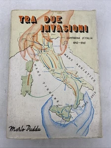 MARIO PUDDU - TRA DUE INVASIONI CAMPAGNA D'ITALIA 1943 1945 - Foto 1 di 24