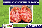 Marmande de Montpellier Tomato - 10 Seeds!