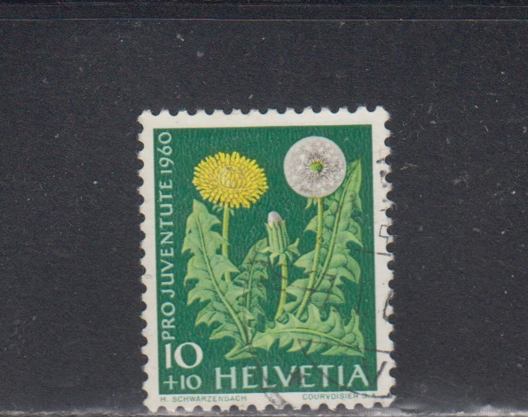 SWITZERLAND : 1960 - USED - SCOTT # B299    SEMI-POSTAL  FLOWERS - Image 1 of 1