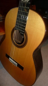 Meistergitarre Prudencio SAEZ 40th Anniversary Caviuna Palisander Vollmassiv - Bild 1 von 13