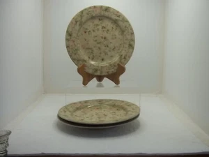 Set of 3 Cheri Blum Savannah 222 Fifth 8 1/4" Floral Salad Plates - Picture 1 of 4