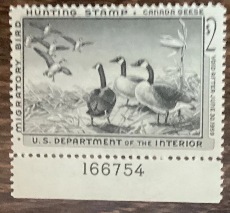 Selo de pato 1958 gansos canadenses US$ 2. RW25 MH - Imagem 1 de 1
