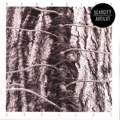 Scarcity - Aveilut (Vinyl LP - 2022 - US - Original) - Bild 1 von 2
