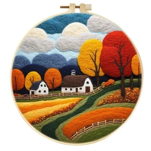 DIY Wool Felting Painting Kit With Frame, Houses Patterns Xmas Gifts For Mom - Picture 1 of 30