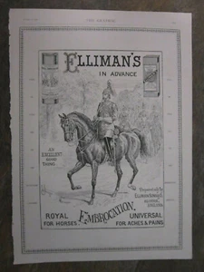 Elliman's Royal Embrocation For Horses Advert Art Print Poster Interior Decor - Picture 1 of 5