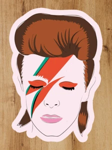 Pegatina de vinilo David Bowie Ziggy Stardust Alladin Sane calidad premium 2x3 in - Imagen 1 de 4