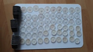 Kapseln Tchibo Cafissimo Kapseln (Tee, Kaffee) leer 30 Stück 1 mal gebraucht - Bild 1 von 3