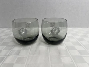 2 Miami Dolphins NFL Roly Poly Tumbler Glass Tinted Smokey Gray Football (C1) - Picture 1 of 15