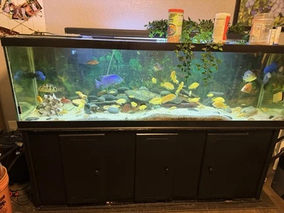 125 галлонов подставка для аквариума в комплекте с фильтрами/расходными материалами/всем, что вам нужно. - Изображение 1 из 4