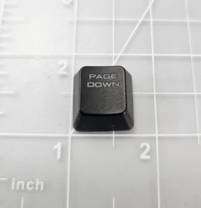 Corsair "Page Down" INDIVIDUAL KEYBOARD REPLACEMENT KEYCAP KEY (CH-9000500-NA) - Picture 1 of 3