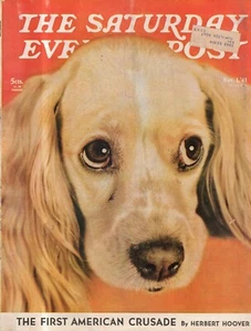 1941 Saturday Evening Post November 1- Stanford Football; Gimbel's; Merck Rahway - Picture 1 of 1