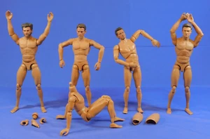 MARVEL 1:6 SCALE BODIES & HEADS HOT TOYS? WOLVERINE, CAP, IRON MAN, HAWKEYE LOT - Picture 1 of 17