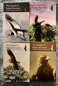 The Journal of Raptor Research Band 56 (2022) komplett 4 Ausgaben - Bild 1 von 2