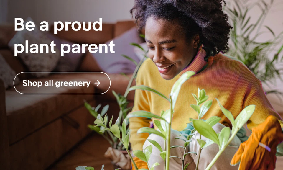 https-//www.ebay.co.uk/b/bn_16568765