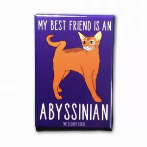 Abyssinian Cat Cartoon Magnet Handmade Kitty Cat Best Friend Art Gifts and Decor - Picture 1 of 12