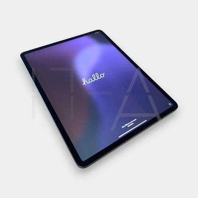 Apple iPad Pro 12,9" 3. Generation 256GB Wi-Fi Grau Batt. 99% inkl. Pencil - Bild 1 von 4