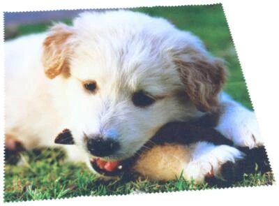 DUGGERT Brillenputztuch aus Microfaser | Motiv "Hundewelpe" | Microfasertuch | NEU