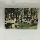 Vintage Postcard Shady Grove At Cedar Point Sandusky Ohio Scene