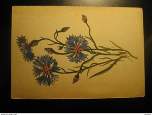 Flora Flower Daehler Berlin Charlottenburg Germany Postcard - Picture 1 of 1