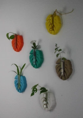 Monstera Reagenzglas Vase mit Wandhalterung Hydroponic Pflanzenvermehrung - Bild 1 von 4