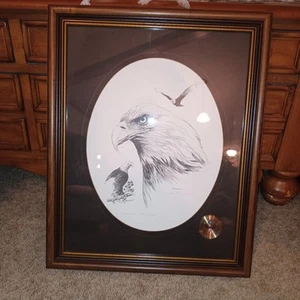 Vintage Don Cannavaro Framed And Signed Lithograph ' The American Bald Eagle' - Picture 1 of 10