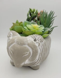 Wicker Park Ram Sheep Faux Succulent  Planter (S1) - Picture 1 of 9