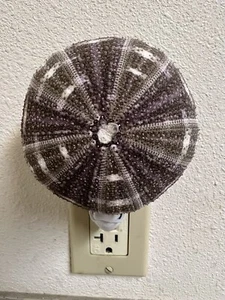 ALFONSO SEA URCHIN SHELL NIGHTLIGHT KITCHEN BATHROOM - Picture 1 of 5