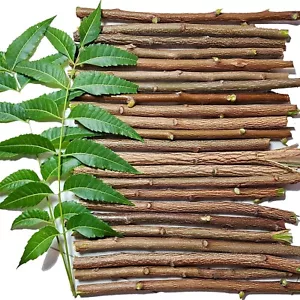 Natural Fresh Neem Datun zum Zähneputzen - 100% Bio Kräuter Zahnreinigungsstick - Bild 1 von 8