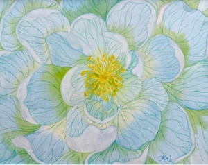 PAINTING WATERCOLOR 11X14 MAT 16X20 FLOWER POPPY BLUE GREEN FLORAL ORIGINAL ART - Picture 1 of 2