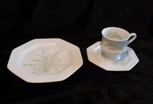 GALLO Villeroy & Boch Leonardo * SOMMERFARN * 3tlg. Kaffeegedeck Fougere - Bild 1 von 4