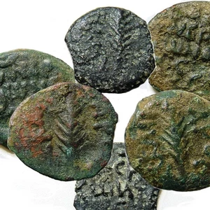 Porcius Festus under NERO 'Year 5 of Caesar' Palm Branch/Wreath. Holy Land Coin - Picture 1 of 12