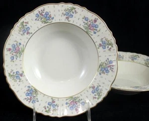 Lote de 2 cuencos de sopa de borde Syracuse Forget Me Not - Imagen 1 de 5