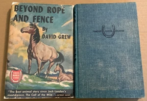 VG 1947 HC DJ Early Edition Famous Horse Beyond Rope Fence David Grew - Bild 1 von 9