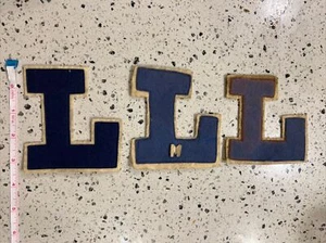 Vintage Letterman Varsity Felt Patch Letter L (3 - Choose 1) - Picture 1 of 3