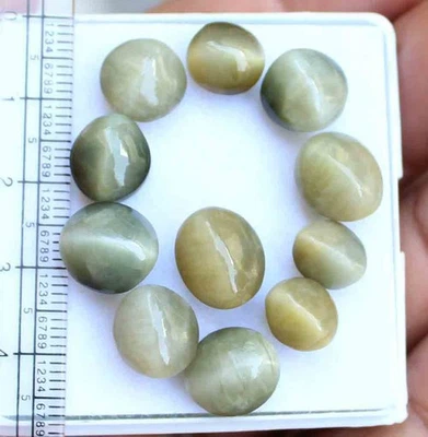 Natural 53.20 Cts Chrysoberyl Yellow Cats Eye Oval Cabochon Cut Loose Gems 11 Pc - Image 1 of 4
