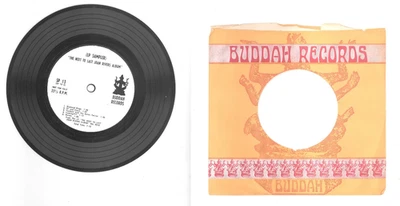 RARE PROMO The Next To Last Joan Rivers Album 1969 DJ LP Sampler Buddah Records - Image 1 of 4