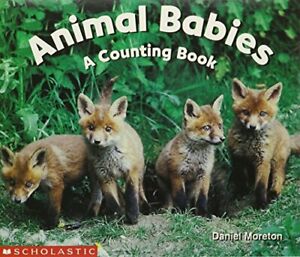 Animal Babies - A Counting Book by Reid, Beryl 0590761641 FREE Shipping