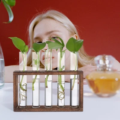  Vermehrungsstation Reagenzglas Vase Übertopf Zum Aufhängen An Der Wand - Bild 1 von 4