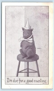 POSTCARD I'm Due for a Good Roasting Pig on a Chair in a Hat 1912 - Picture 1 of 2