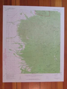 Chiricahua Peak Arizona 1959 Original Vintage USGS Topo Karte - Bild 1 von 1