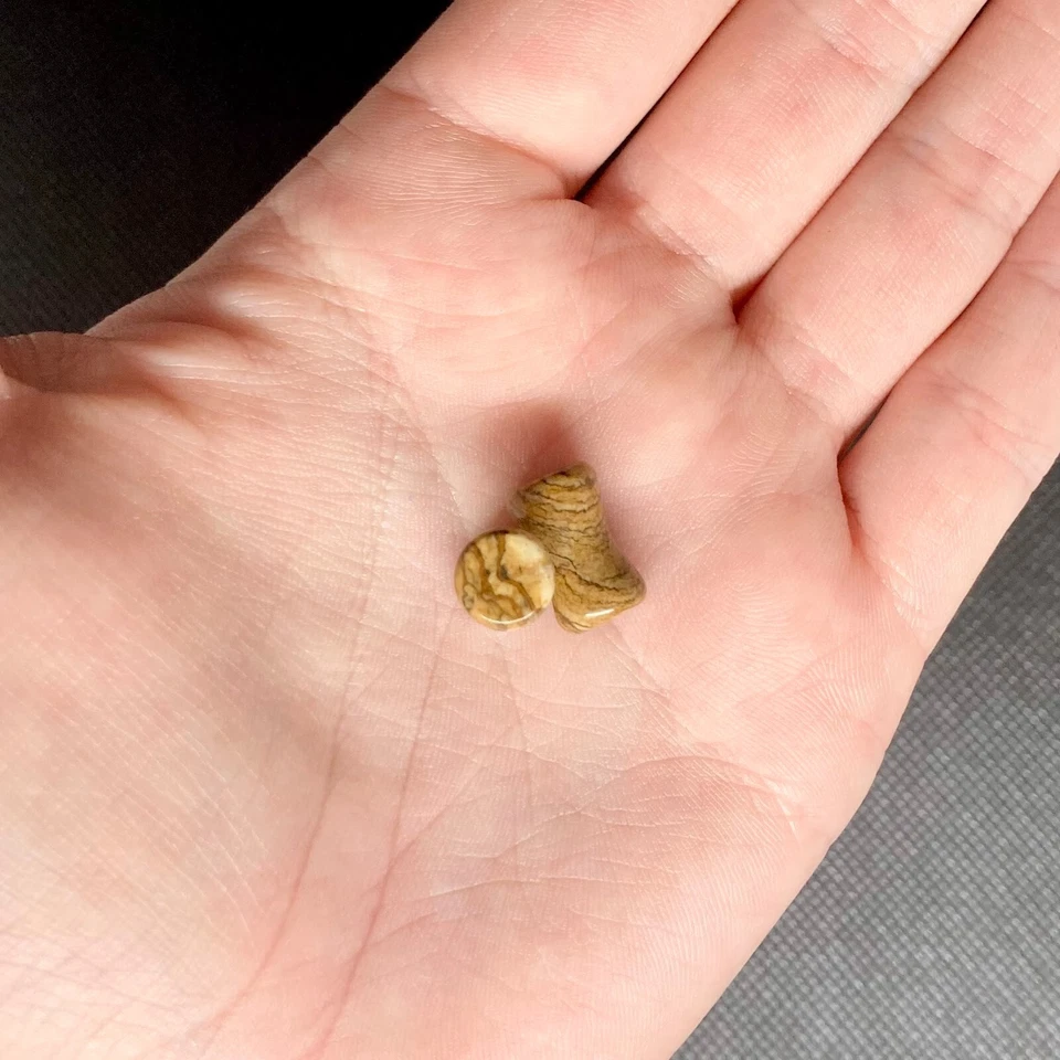 VENTA - Tapones de doble llamarada de jaspe para imagen 6 g - 00 g Foto 1 de 1