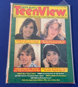 VTG Oct 1978 Tiger Beat TeenView MAGAZINE COMPLETE VG+ Bay City/Leif/Baio/Shaun - Picture 1 of 6