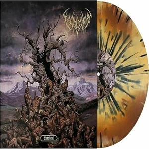 VULVODYNIA - Entabeni - EARTHTONE SPLATTERED VINYL LP - Picture 1 of 1