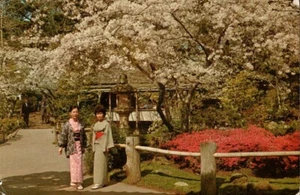 Postcard-Japanese Tea Garden Golden Park San Francisco CA Posted 1971  0607 - Picture 1 of 2