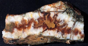 S1444 ~ 1.1 oz Slab Linda Marie Plume Agate ~ Graveyard Point, Oregon - Picture 1 of 8