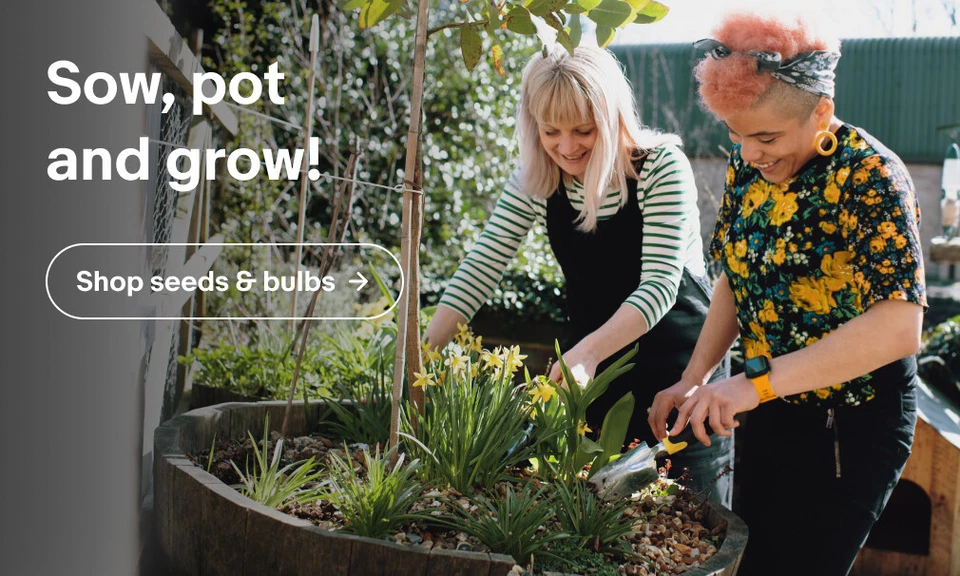 https-//www.ebay.co.uk/b/bn_7204995