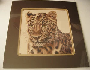 Leopard Art Print Kathy Friedlander Matted Mat Color Brown - Picture 1 of 4